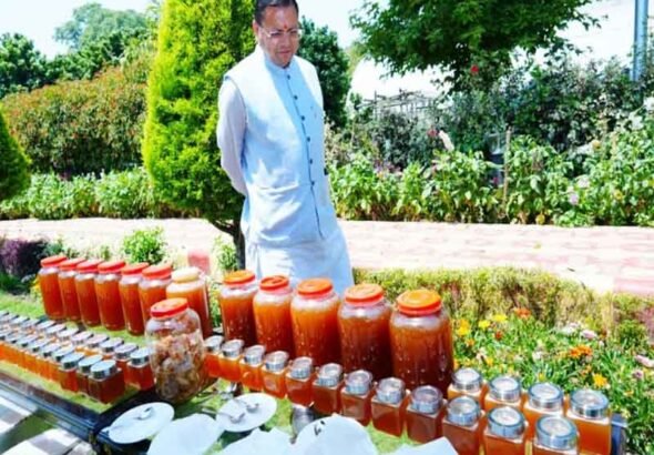 मुख्यमंत्री आवास परिसर में शहद निकालने की प्रक्रिया का अवलोकन किया मुख्यमंत्री धामी ने