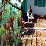 रिवर्स माइग्रेशन और आधुनिक कृषि से बदल रही उत्तराखंड के सुदूर जनपद बागेश्वर की तस्वीर