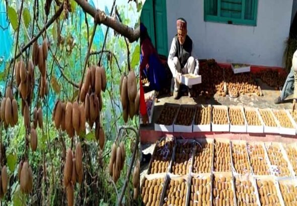 रिवर्स माइग्रेशन और आधुनिक कृषि से बदल रही उत्तराखंड के सुदूर जनपद बागेश्वर की तस्वीर