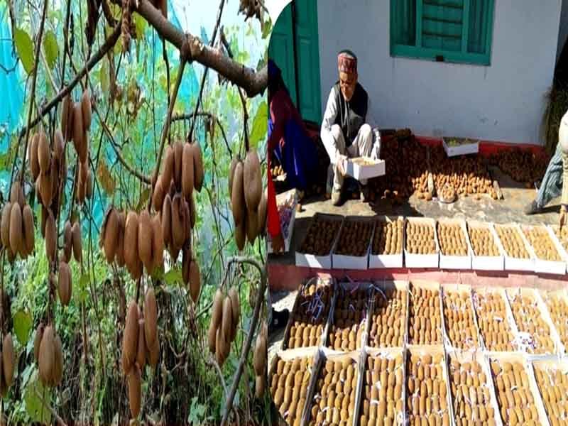 रिवर्स माइग्रेशन और आधुनिक कृषि से बदल रही उत्तराखंड के सुदूर जनपद बागेश्वर की तस्वीर