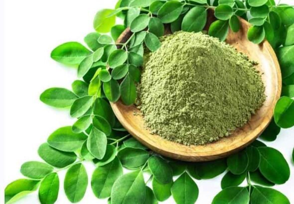 सहजन/मोरिंगा प्रकृति का एक अनमोल उपहार