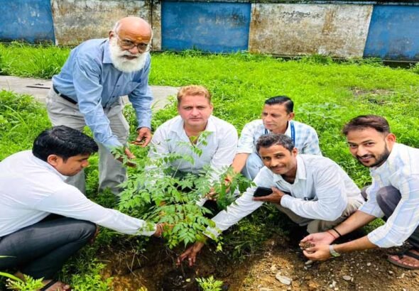 लोक पर्व हरेला पर पीआईबी देहरादून में “एक पेड़ माँ के नाम” अभियान के अंतर्गत किया गया पौधारोपण , एनएसटीआई देहरादून में ‘स्वच्छता पखवाड़ा’ का हुआ शुभारंभ